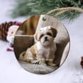 thumbnail image 3 of Personalized Pet Memorial Photo Ornament, Custom Dog or Cat Loss Keepsake, Forever in My Heart Pet Sympathy Gift, Pet Remembrance Christmas Ornament, 3 of 4