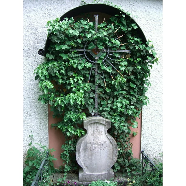 Wrought Iron Cross Faƒae A A Aƒa Sa A Ssen Allgaƒae A A Aƒa Sa A U Old Cemetery Inch By 30 Inch Laminated Poster With Bright Colors And Vivid Imagery Fits Perfectly In Many Attractive Frames Walmart Com Walmart Com