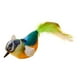 thumbnail image 5 of 5xCat Juguete Interactivo Divertido Y Lindo Juguete De Plumas Para Gatitos Los Gatos De Interior Juegan Chase Green, 5 of 8