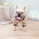 thumbnail image 5 of Chaqueta acolchada de algodón para perros de SHOPESSA con hebilla de tracción para invierno. Cómoda para viajar. Ofertas de acceso anticipado. Ahorros de hasta un 30 % en suministros para mascotas., 5 of 6