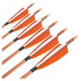 31Inch Carbon Arrow Practice Target Arrows with 4" Natural Spine 500