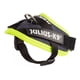 thumbnail image 4 of Pechera Perro Mini Arnes Para Perro Julius-k9 Razas Pequeñas, 4 of 5