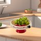 thumbnail image 5 of Frutero, Caja para Fruta Seca, Caja Dividida para Guardar Melón, Dulces y Aperitivos., 5 of 6
