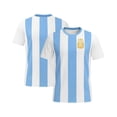 thumbnail image 1 of Chandail Argentina pour Homme Adulte, 1 of 5