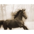 thumbnail image 3 of Villa, Milli 14x12 Black Modern Framed Museum Art Print Titled - Horse In The Wind, 3 of 5