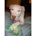 thumbnail image 4 of Pretty Claws Cool Mint Green Nail Caps for Dogs - XXL Size - 60 Pack ~ Stylish, 4 of 4