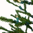 thumbnail image 6 of Northlight Alpine Coral Artificial Christmas Tree with Metal Base - 3' - Clear Lights, 6 of 9