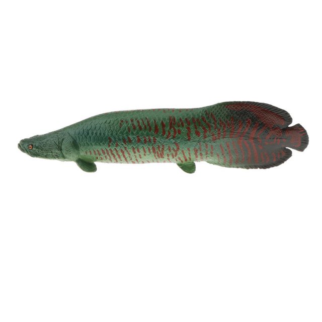 Vogacara Realistic Static Animal Model Toy Gift Kids Juguetes Educativos Pirarucú
