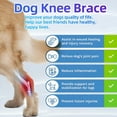 thumbnail image 6 of QARUN Large Dog Leg Braces for Back Leg for Support with Cruciate Ligament Injury-Better Recovery with Dog Knee Brace for Torn Acl Hind Leg-Adjustable Hip Dysplasia Dog Acl Brace Hind Leg Rear, 6 of 7