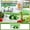 Green, variant on Fridge Deodorizer Box – Activated Bamboo Charcoal Odor Absorber for Refrigerator, Removes Food Smells & Bacteria