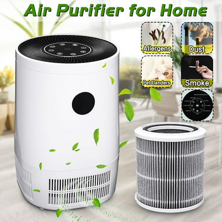 Air Purifier with True Hepa Filter, AUGIENB Air Purifier with 3 Stage Ture HEPA Filter Ionic for Smoke Odors Allergies and Asthma PM 2.5 Eliminator Ozone (Best Pm 2.5 Air Purifier)
