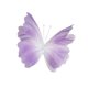 thumbnail image 4 of Decoración de mariposas de hilo artificial, accesorios de fotografía, decoraciones de boda para Violeta, 4 of 9