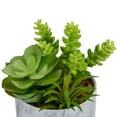thumbnail image 5 of 6.5" Green Artificial Succulent Arrangement in Faux Marble Pot, 5 of 5