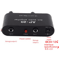Dual Channel Amplifier Microphone Amplifier AP20 for Live Sound Card