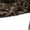Veil Canyon Gray, variant on Muddy Outdoors Men's TRX Sherpa Jacket Mossy Oak Bottomland Large