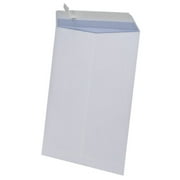 Ampad 10x13 25 Count Envelope