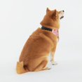 thumbnail image 2 of Daiia Donuts Print Pet Scarf, Adjustable Pet Bandana, Reflective Dog Bandana with Buckle, Durable Pet Accessory Fashionable Pet Neckwear-X-Large, 2 of 7