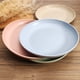 thumbnail image 4 of 4pcs-juego de placas anticaida-4pcs placa de 22.5cm Ormromra LL-2197-2, 4 of 7