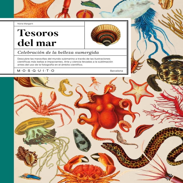 Tesoros del mar. Celebración de la belleza sumergida Blanco