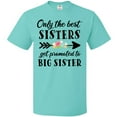 thumbnail image 3 of Inktastic Only the Best Sisters Get Promoted to Big Sister T-Shirt, 3 of 5