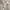 Ecru/Damask, variant on No. 918 Sora Casual Textured Semi-Sheer Grommet Curtain Panel, 40"x63", Gray