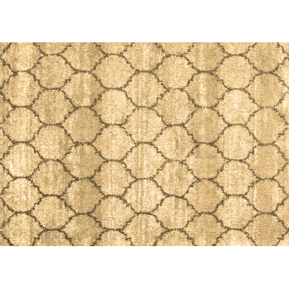 Ahgly Company Indoor Rectangle Trellis Brown Modern Area Rugs, 3' x 5'