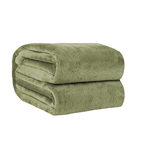 Sage Green Blanket Fleece Flannel Soft Warm Lightweight for Bedroom Sofa Bed Travel and Camping 50x40in