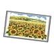thumbnail image 4 of Kit de con de preimpreso - girasol para niños, adultos, principiantes (incluye instrucciones en inglés), 4 of 9