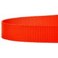 thumbnail image 3 of Country Brook Petz® 1 inch Nylon Dog Leash - Hot Orange, 6 Foot, 3 of 5
