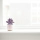 thumbnail image 4 of 8 piezas de cabezas de flores de suculentas de simulación, grandes, espinosas, pequeñas, aloe, suministros creativos de bricolaje, plantas verdes artificiales, 4 of 6