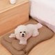thumbnail image 5 of Colchoneta cálida para mascotas de invierno | Cojín de cama para perros de tela suave | Acogedora almohadilla rectangular liviana | Retención de calor mejorada | Lavable a máquina | Uso de viajes en, 5 of 6