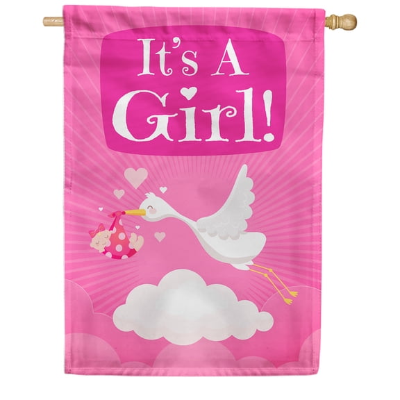 America Forever Baby Girl Delivery Double Sided House Flag, 28 x 40 inch, It's Girl Stork Announcement, New Family Member Joy Outdoor Decorations Banner