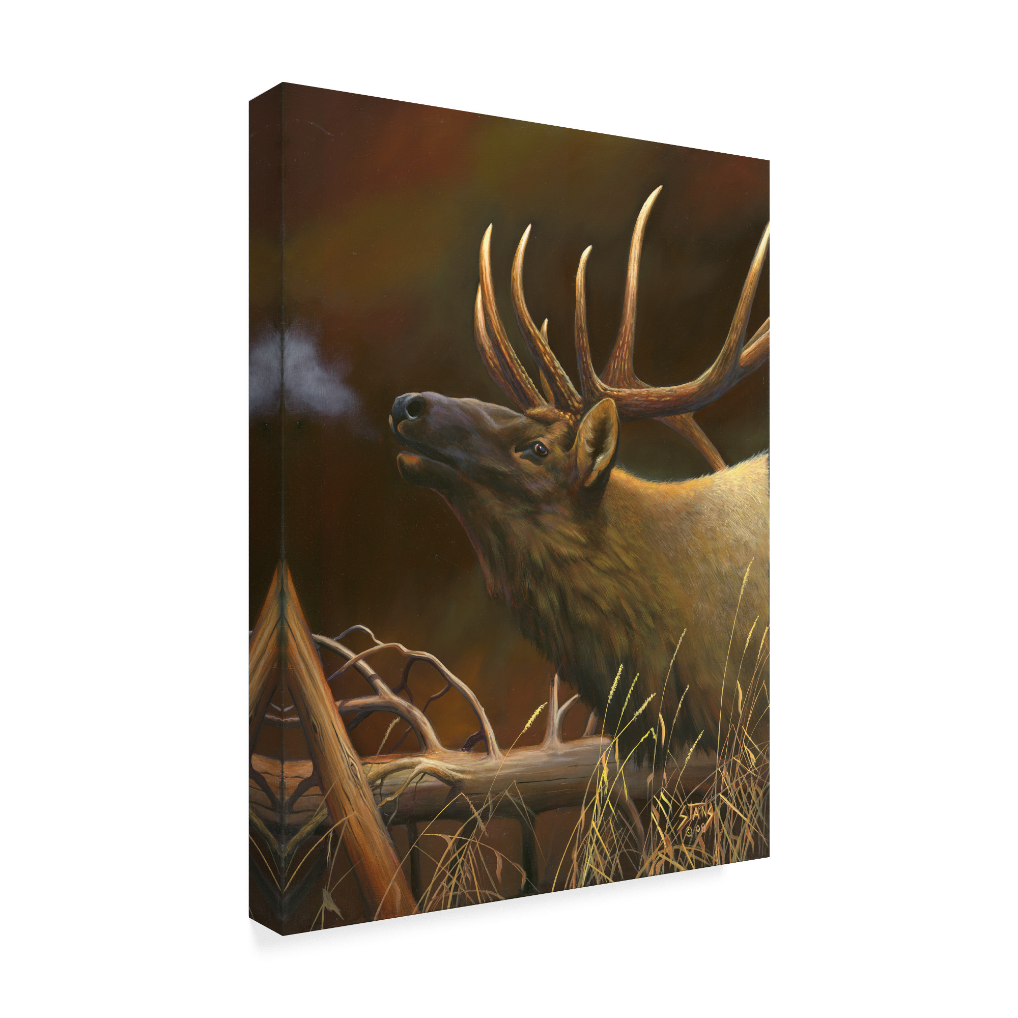 Trademark Fine Art 'Elk Portrait I' Canvas Art by Leo Stans