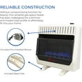 Hearth Sense Dual Fuel Vent less Blue Flame Heater with Base and Blower