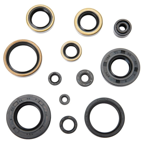 Tusk Engine Oil Seal Kit