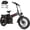 Black, variant on W WALLKE H9 Ultra 4000W Electric Bike for Adults, 48V 40Ah Long Range Ebike, 37MPH Fast E-Bike, 20x4 Fat Tire Electric Bicycle, Torque Sensor, UL2849