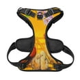thumbnail image 5 of Picia The Chicken Family No-Pull Dog Harness Reflective Front Clip Vest with Handle,Step-in Air Dog Harness,Adjustable 2 Metal Rings 4 Buckles,Easy to Put on & Take Off Large, 5 of 9