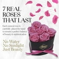thumbnail image 2 of GLAMOUR BOUTIQUE 7-Piece Forever Flowers Heart Shape Box - Preserved Roses, Immortal Roses That Last A Year - Eternal Rose Preserved Flowers for Delivery Prime Mothers Day & Valentines Day - Pink, 2 of 9