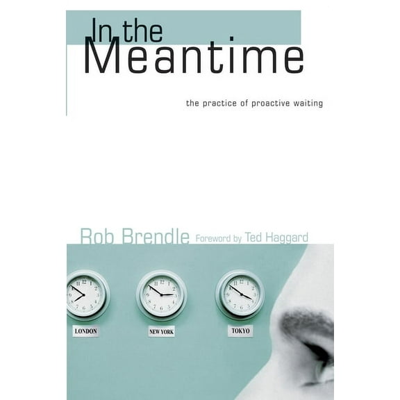 In the Meantime: The Practice of Proactive Waiting (Paperback)