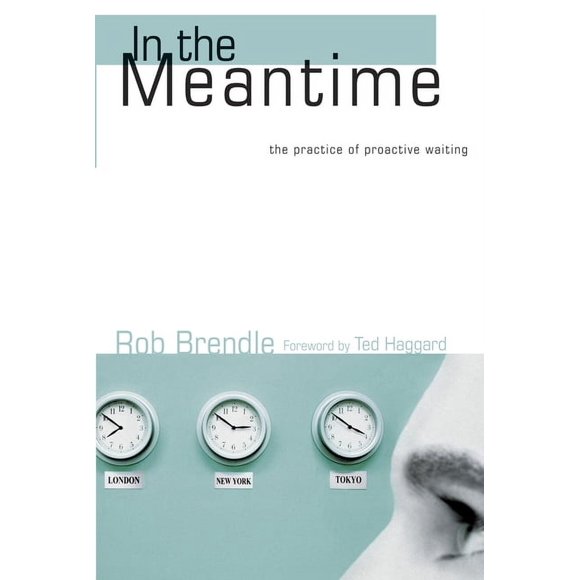 In the Meantime: The Practice of Proactive Waiting (Paperback)