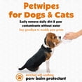 thumbnail image 3 of Paw Wipes Petkin Big N' Thick para perros, 200 toallitas, 2 paquetes, 3 of 7