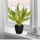 thumbnail image 3 of Planta artificial Briful Snake de 28,5 cm con maceta negra, 3 of 6