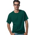 thumbnail image 1 of Hanes 5.2 oz. 50/50 ComfortBlend EcoSmart T-Shirt, 1 of 1
