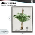 thumbnail image 4 of Stupell Industries Bohemian Natural Palm Variety Study Gray Floating Frame Canvas Art, 17 x 21, by Val Rhodes, 4 of 8