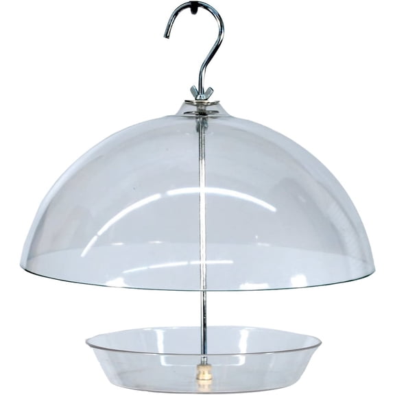 Dome Top Seed and Bluebird Feeder