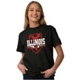 thumbnail image 3 of Illinois IL Pride Gameday Spirit Cool Men's Graphic T Shirt Tees Brisco Brands S, 3 of 4