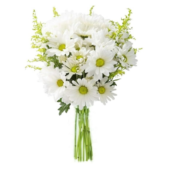 KaBloom : Bountiful Beauty of White Daisies with Vase, Next-Day Delivery, Gift for all occasions