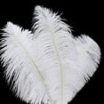 Efavormart 12 Pack | 13"-15" White Natural Plume Real Ostrich Feathers ...