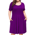 thumbnail image 3 of a.Jesdani Women's Plus Size Short Sleeve Pleated Casual Shirt Dress of Female, 3 of 10