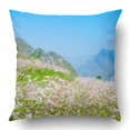 thumbnail image 1 of Funda de almohada ABPHQTO Campo de flores de trigo sarraceno en Ha Giang Viet Nam 45x45 cm, 1 of 1